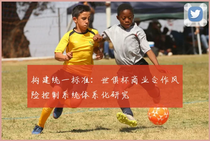 构建统一标准：世俱杯商业合作风险控制系统体系化研究